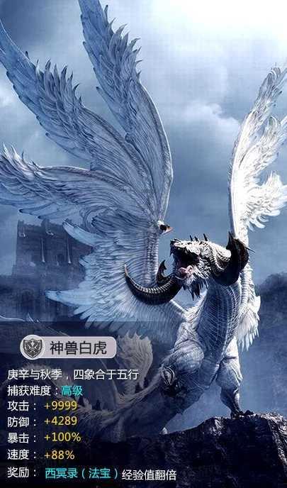 谁给了塔利班力量?为何塔利班能长期存在,并把对手揍得满地找牙