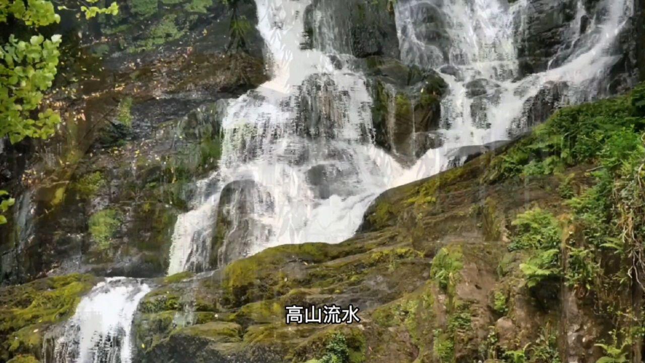 麦克斯：兄弟魔咒